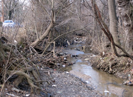 Photo of a stream