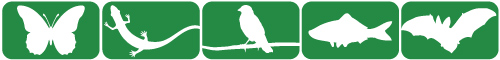 Wildlife Action Plan Icons