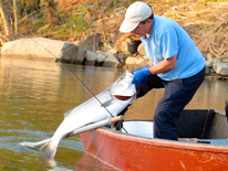 DC-Fishing.jpg