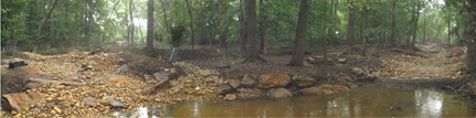 image of shoreline with logs and rocks in the woods