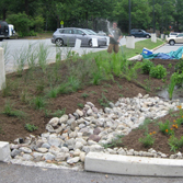 rain Garden