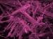 microscopic image of asbestos fibers