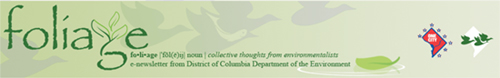 Foliage newsletter logo