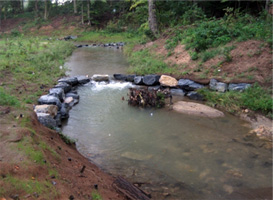 photo of a stream