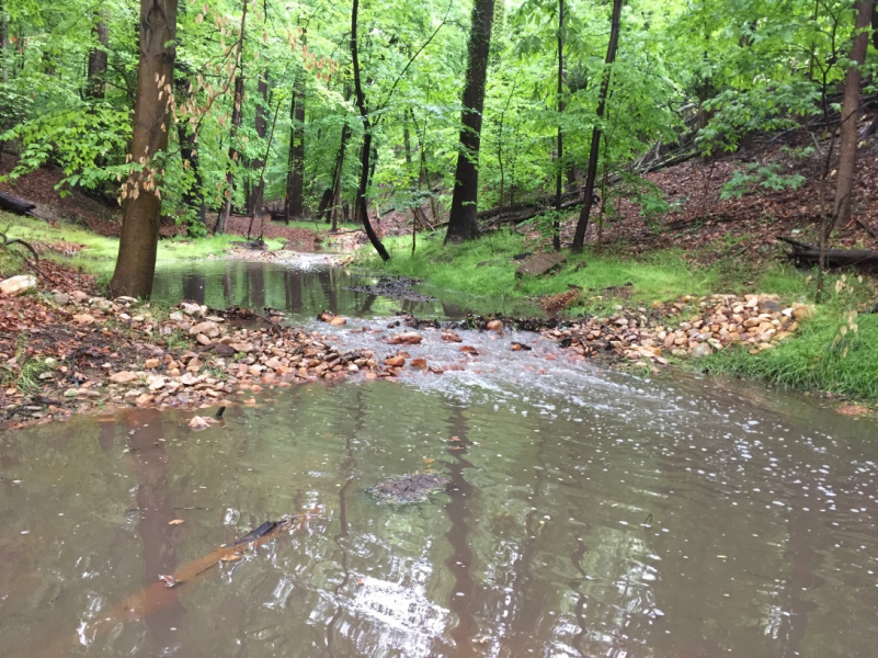 Pope Branch is one of many District streams available for adoption 