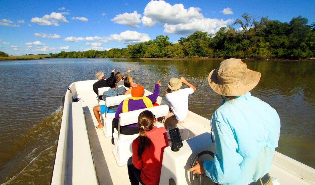 Boat tour 3.jpg