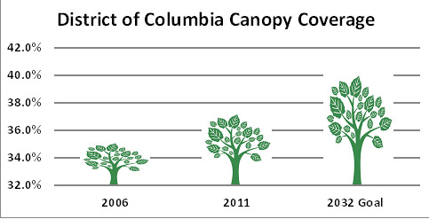 Tree Canopy Size Chart