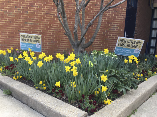 Community Engagement planter