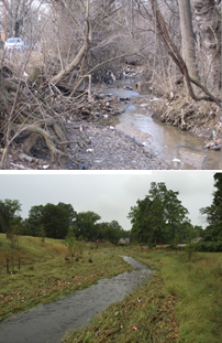 Nash Run Stream Restoration, pre- and post-construction