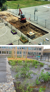 Seaton Elementary School raingarden during and after construction