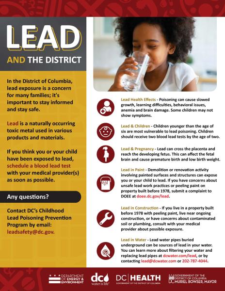 Lead and the District Flyer.jpg