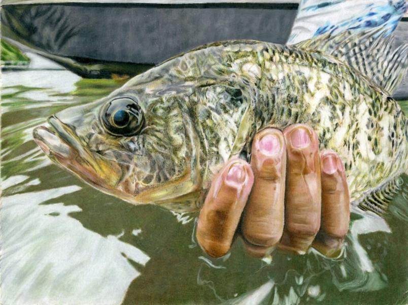 Best of Show Award Winner 2024: Mia Macias Black Crappie - Texas