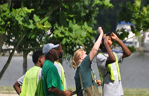 greenzoneenviro-300x194.png