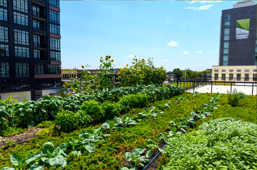 Speacialty Crop Block Grant