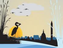 Illustration of Heron looking over the Potomac to DC skyline