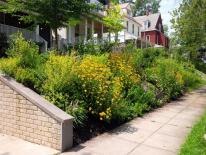 Bayscaping for Residents Bayscaping for Residents